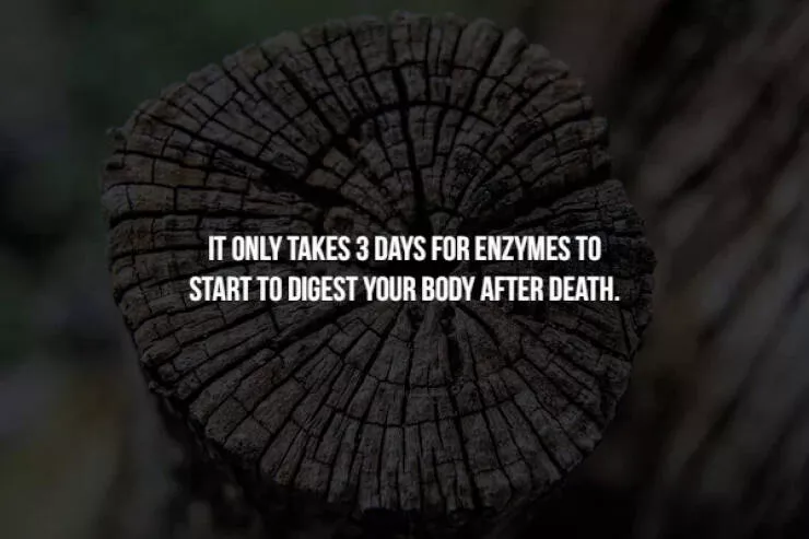 Creepy facts - #3 