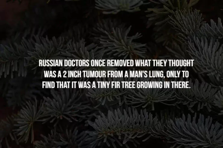 Creepy facts - #5 