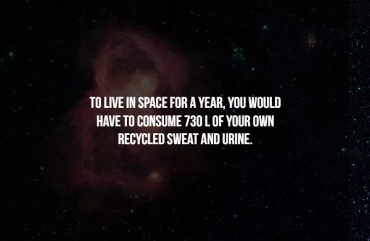 Creepy facts - #9 