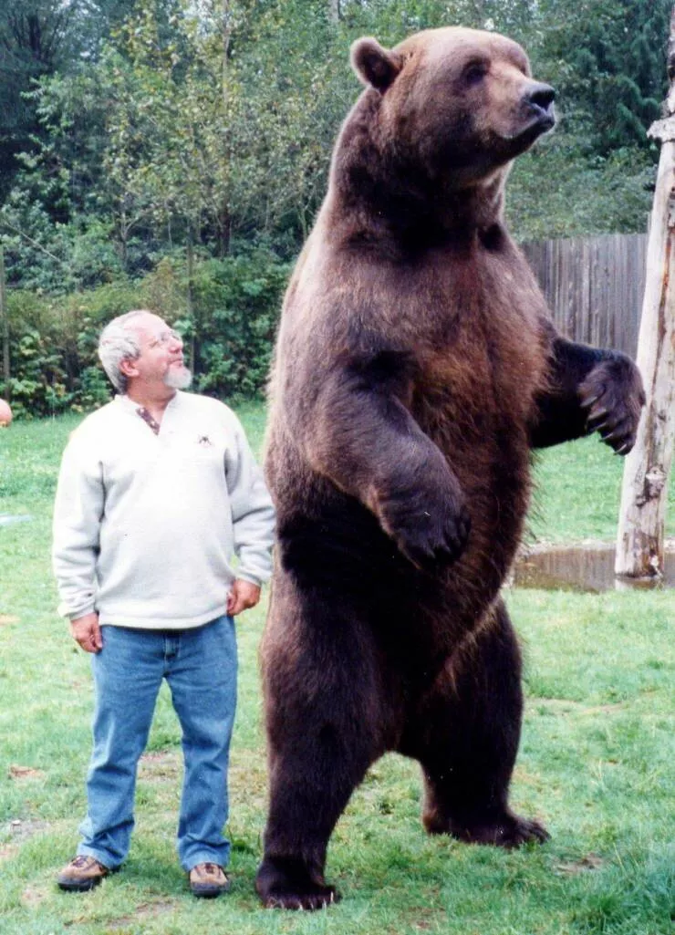 Picdump 742 - #18 