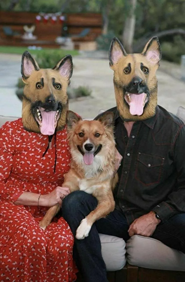 Picdump 742 - #19 