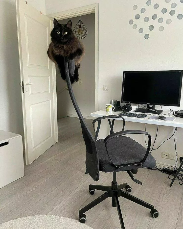 Picdump 742 - #45 