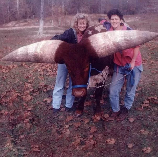 Picdump 742 - #50 