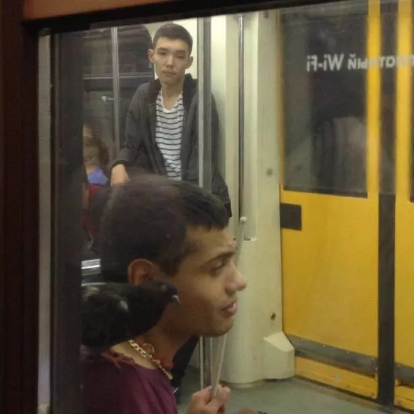 Picdump 742 - #54 