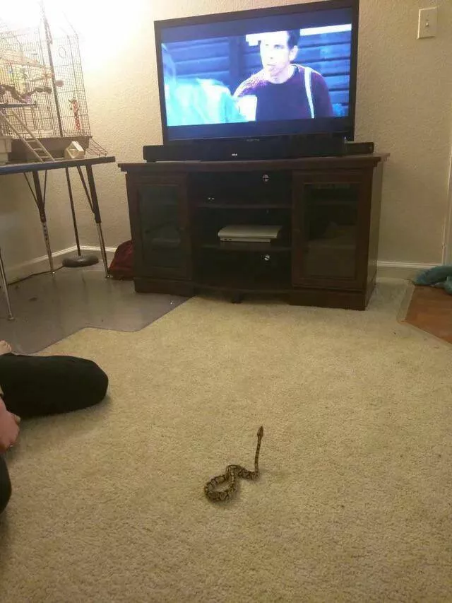 Picdump 742 - #60 