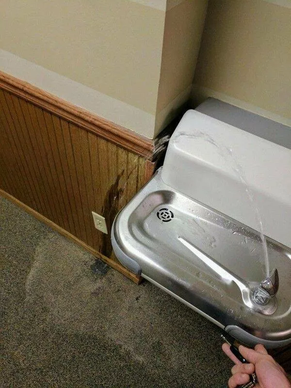 Picdump 742 - #7 