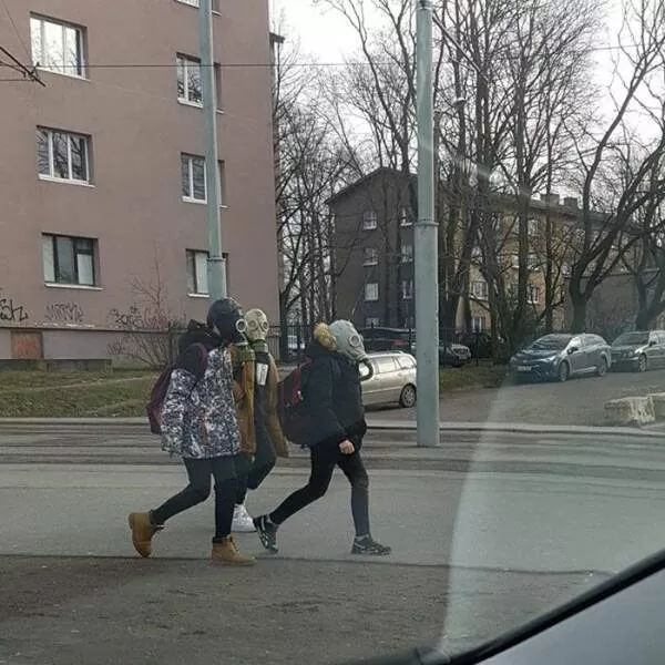 Picdump 743 - #50 