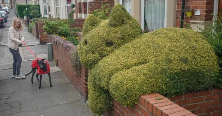Picdump 744 - #29 