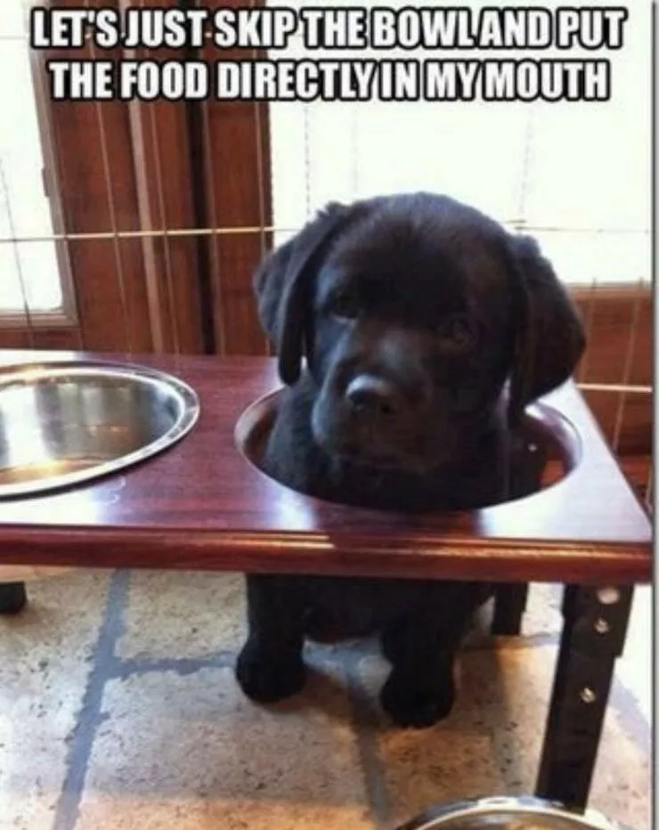Picdump 745 - #52 