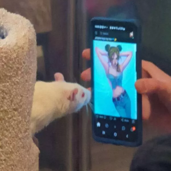 Picdump 746 - #50 