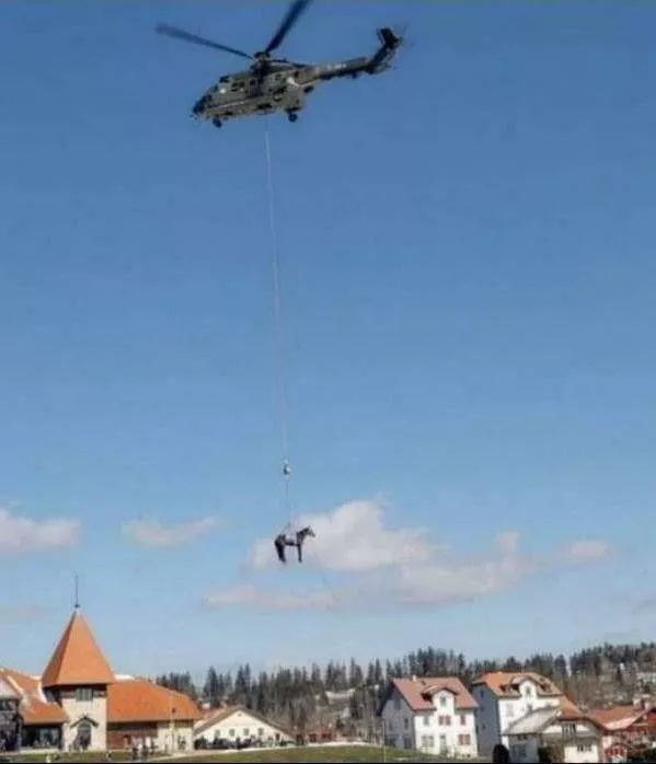 Picdump 746 - #9 