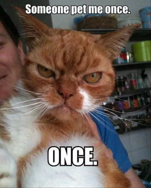 Picdump 104 - #20 
