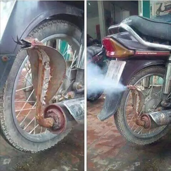 Picdump 104 - #51 
