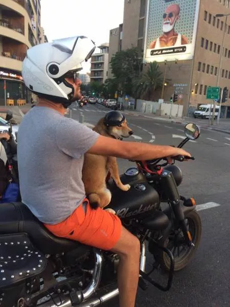Picdump 104 - #60 