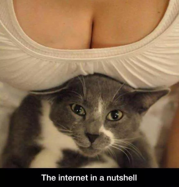 Picdump 104