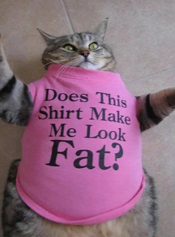 Picdump 747 - #29 