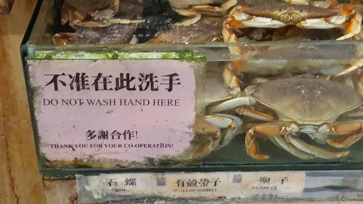 Picdump 747 - #31 