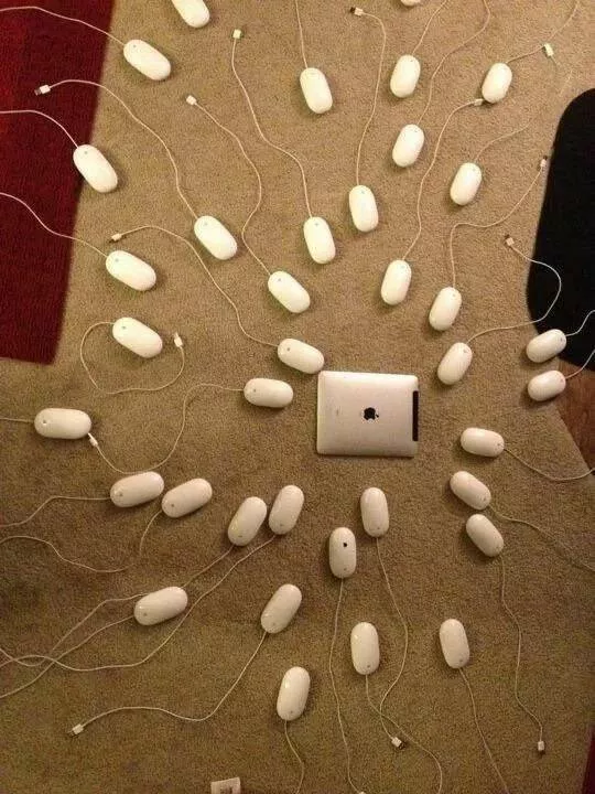 Picdump 747 - #50 