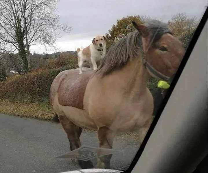 Picdump 747 - #61 