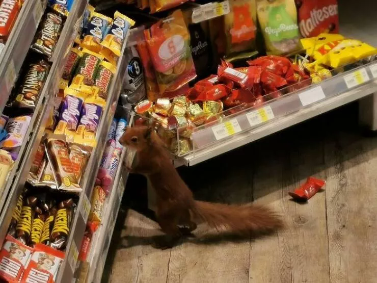 Picdump 747 - #63 