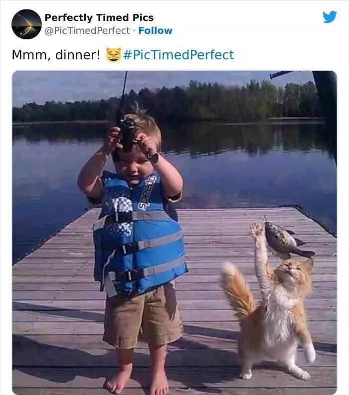 Timing - #14 