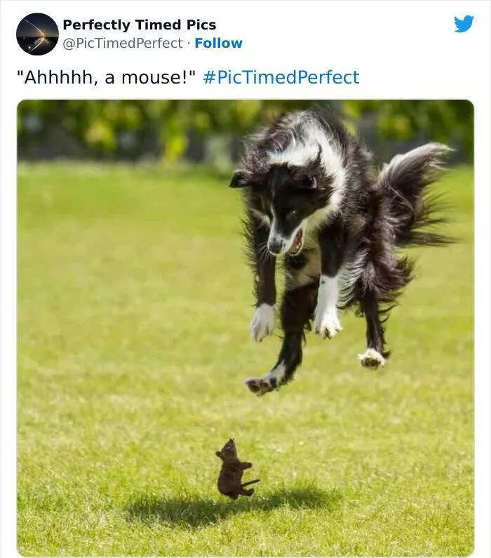 Timing - #4 