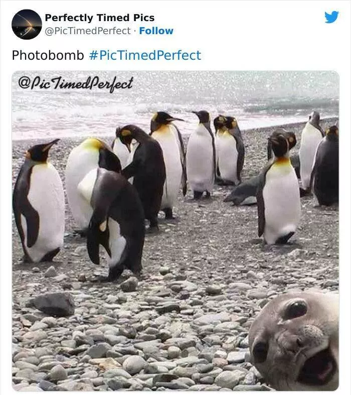 Timing - #5 