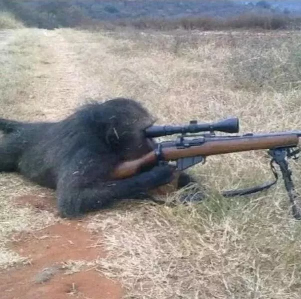 Picdump 749 - #29 