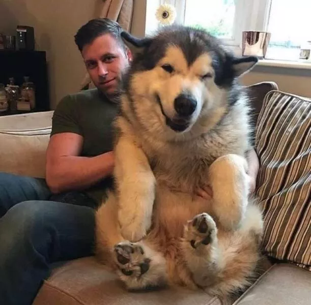 Picdump 749 - #40 