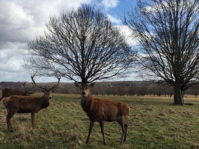 Les cliches les plus impressionnants du monde - #13 