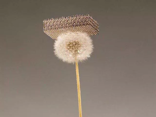 The most impressive photos in the world - #27 