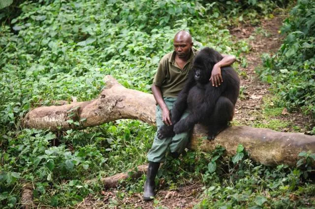 The most impressive photos in the world - #49 