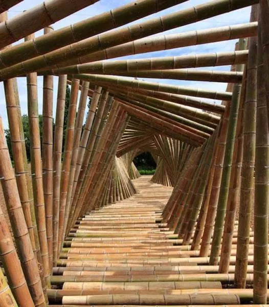 The most impressive photos in the world - #9 