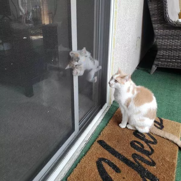 Picdump 750 - #11 