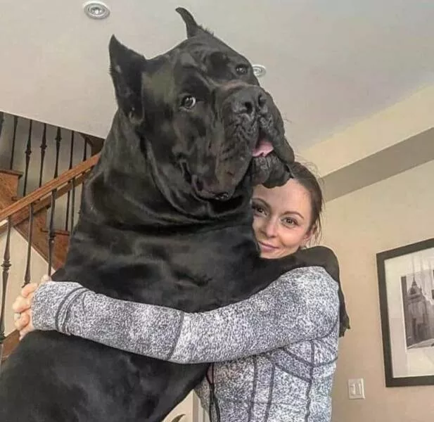Picdump 750 - #35 