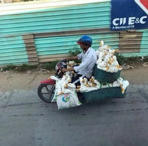Picdump 750 - #52 