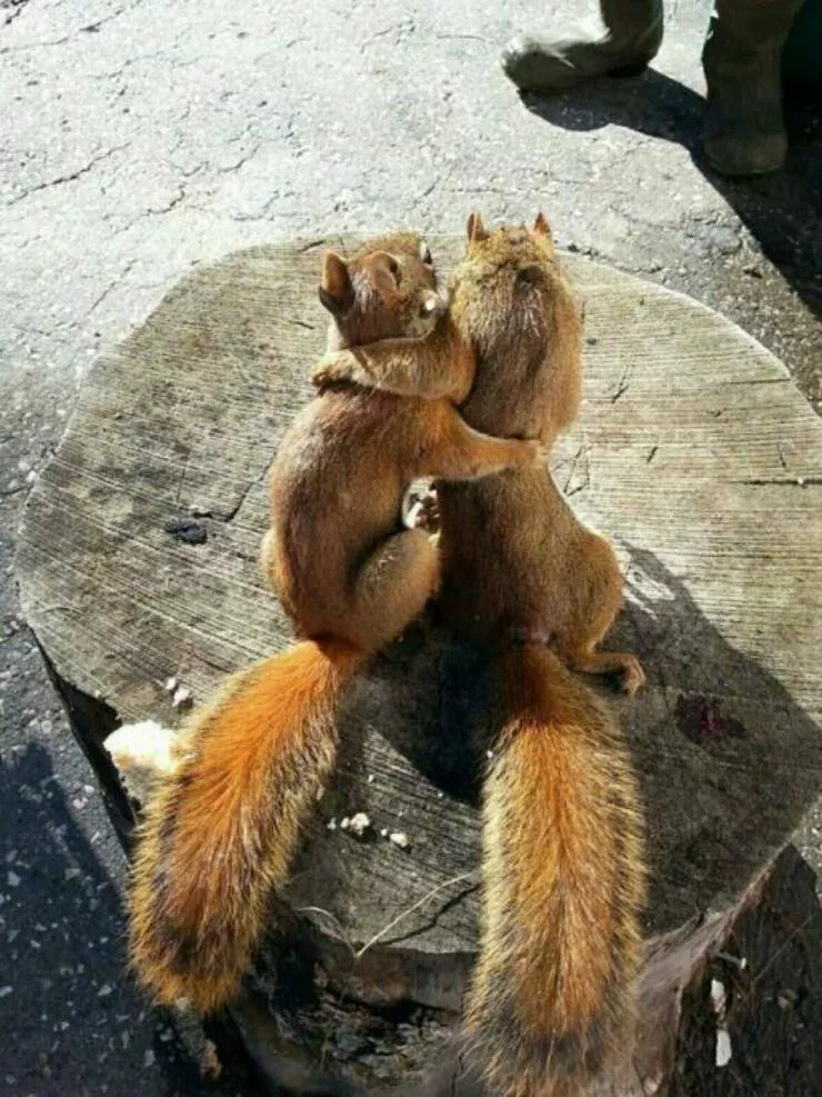 Picdump 750 - #60 