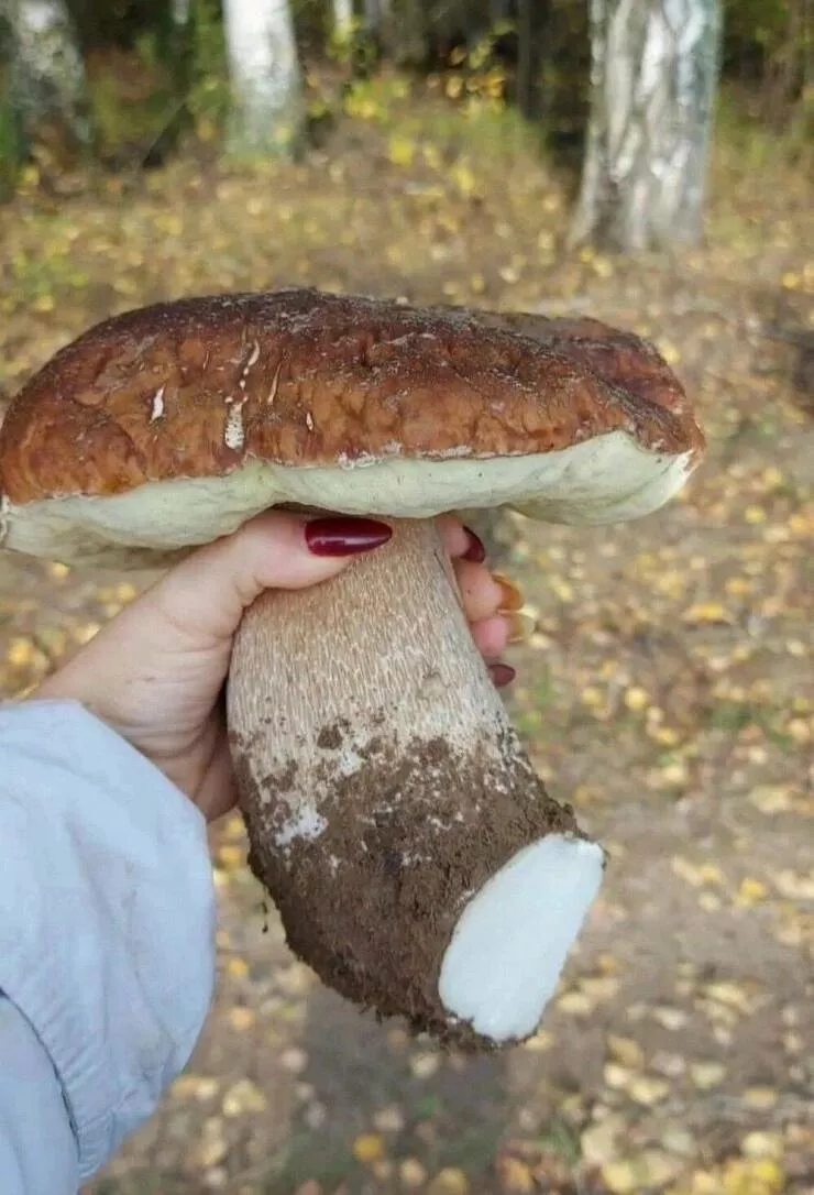 Picdump 750 - #64 