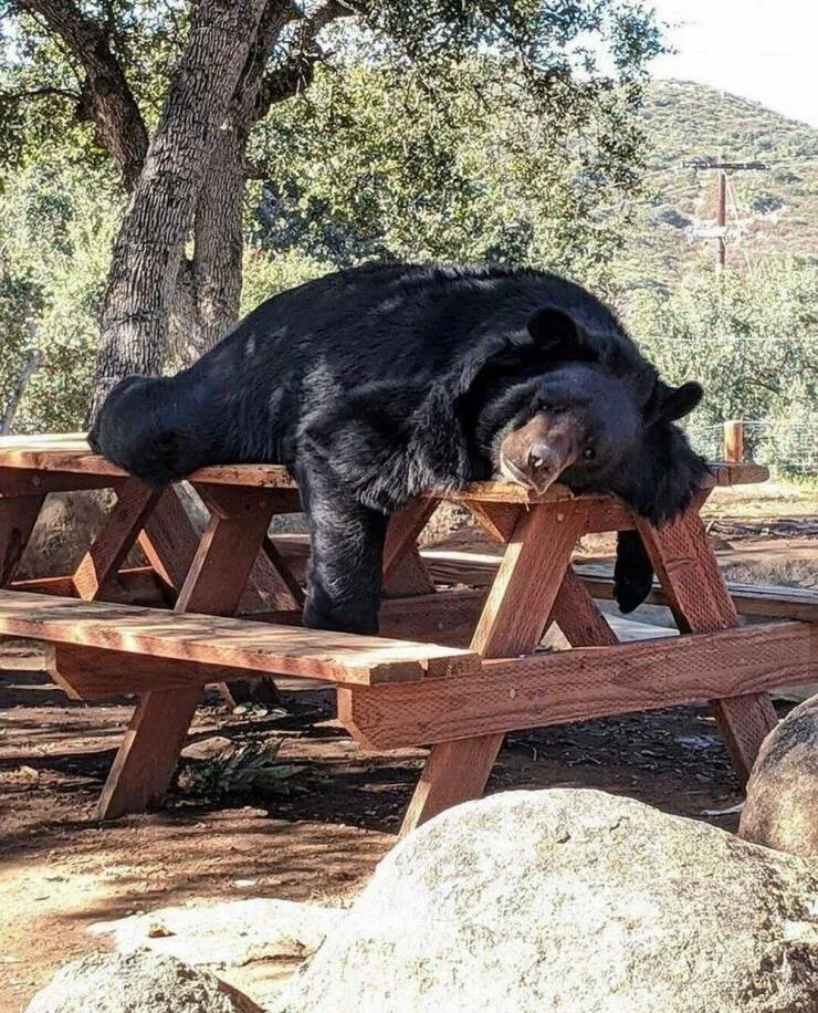 Picdump 750 - #9 