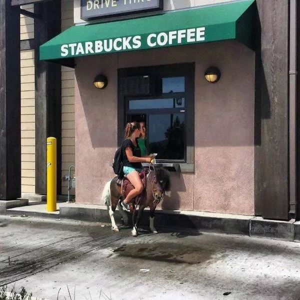 Picdump 751 - #41 