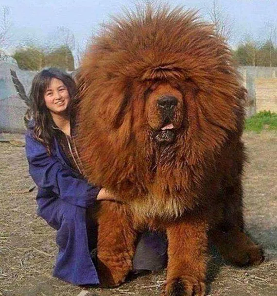 Picdump 752 - #18 Picdump 752 - #18