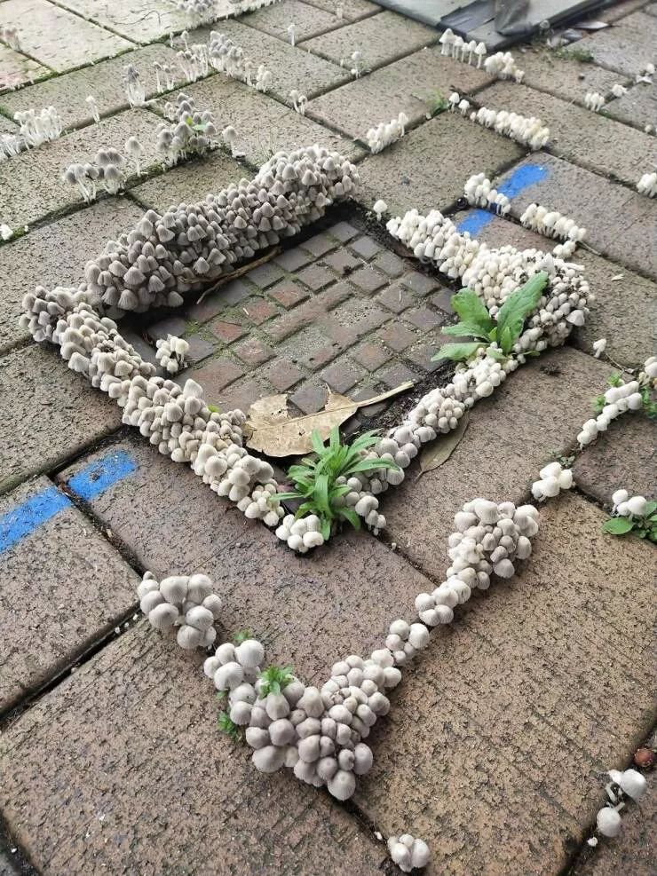 Picdump 752 - #48  Picdump 752 - #48