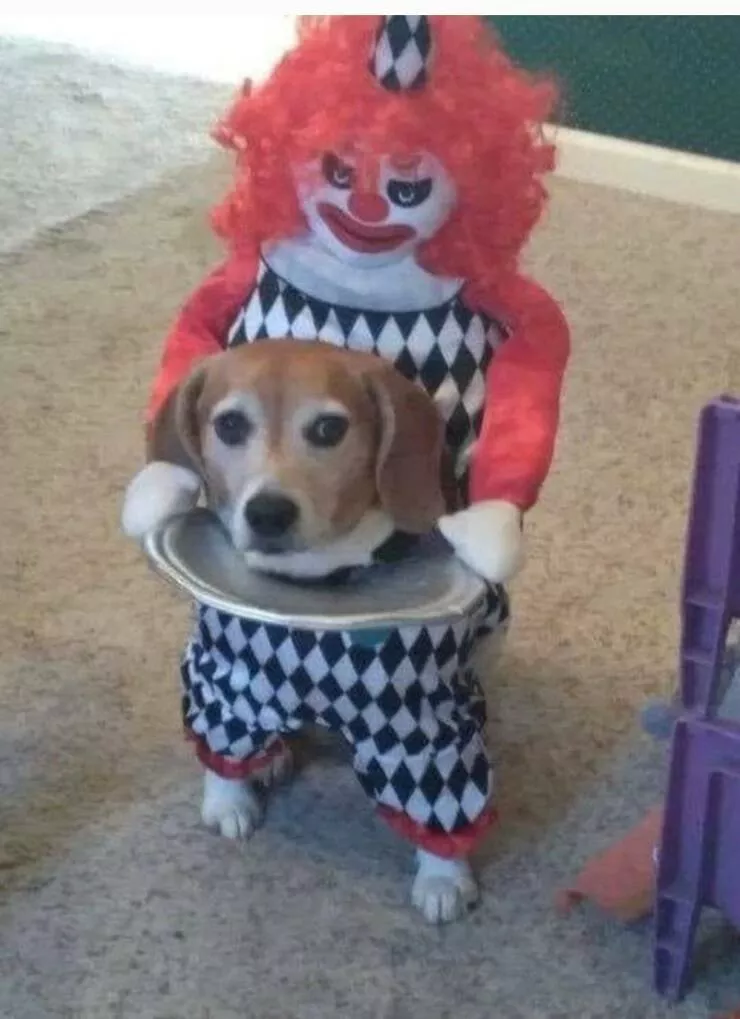Picdump 753 - #16 