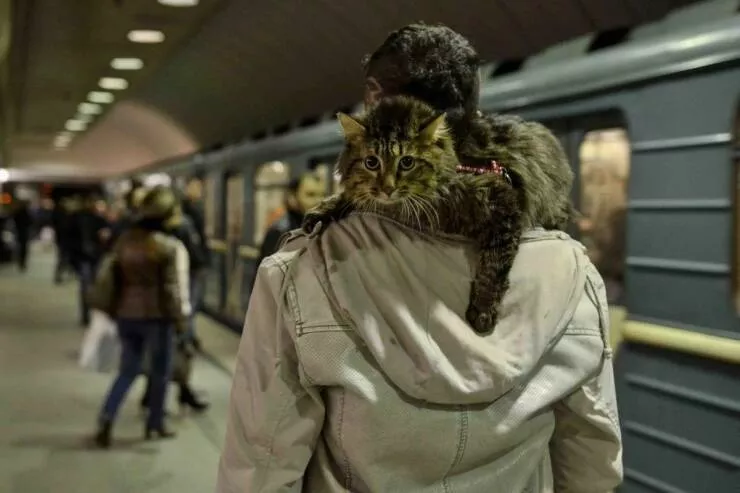 Picdump 754 - #24 