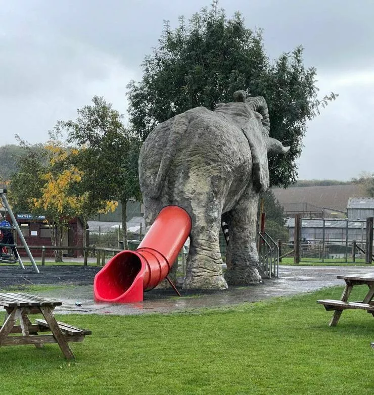 Picdump 754