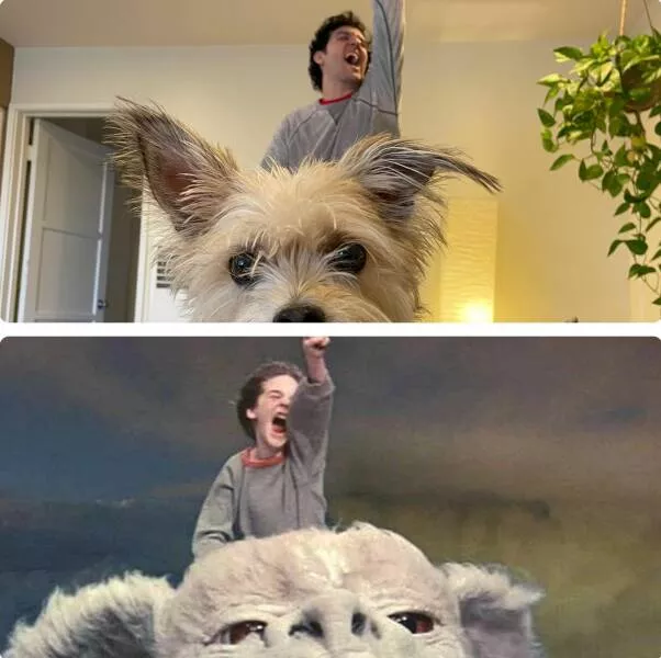 Picdump 754 - #51 