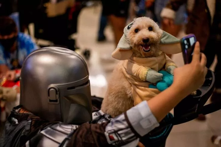 Picdump 755 - #29 