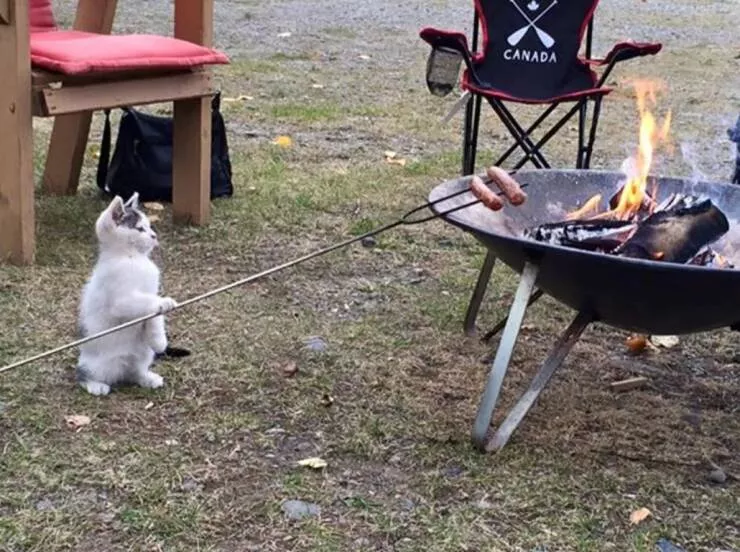 Picdump 755 - #32 