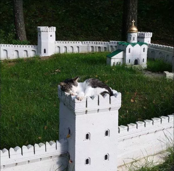 Picdump 755 - #47 