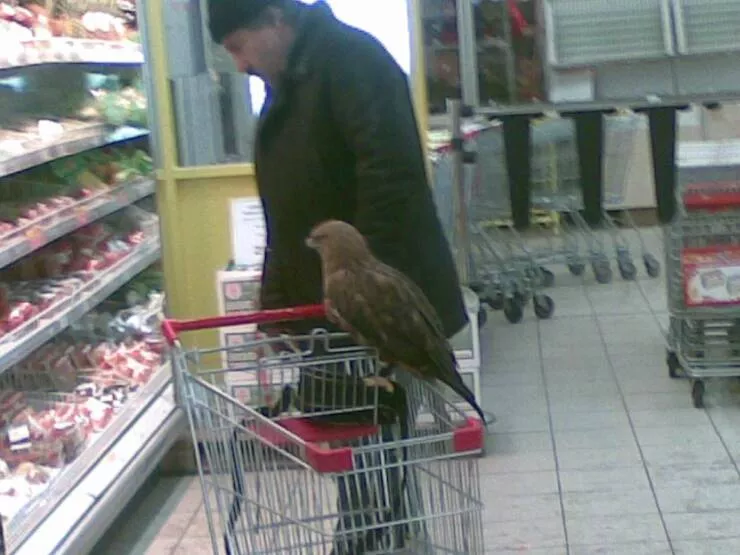 Picdump 755 - #7 